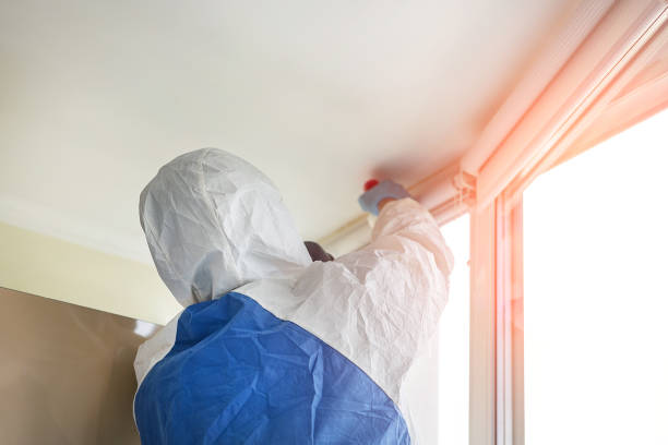 Mold Documentation for Insurance Claims in Hanceville, AL